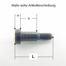 Märklin Zylinderkopfschraube m Ansatz M2,5 x 4,5 mm