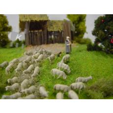Diorama "Schafe auf der Weide"