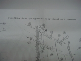 Weinert 0112 Formhauptsignal 2-flügelig, gek, unbel