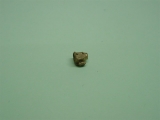 Indusiumformer