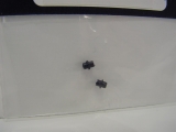 Weinert 98881 Buchse mit Ring für 1,5mm 2Stk