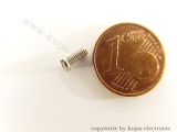 Märklin 75001 Zylinderschraube M2 x 5,0 mm, vernickelt