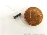 Märklin 75010 Zylinderschraube M2 x 6,0 mm, brünniert