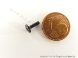 Märklin 75025 Zylinderschraube M2 x 6,5 mm, brünniert