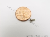 Märklin 78504 Zylinderschraube M2 x 4,0 mm