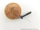 Märklin 78512 Zylinder-Ansatz-Schraube M2 x 10,0 mm, brünniert