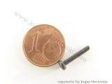 Märklin 78514 Zylinderschraube M2 x 11,8 mm, brünniert