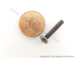 Märklin 78531 Zylinderschraube M3 x 16,0 mm, brünniert