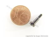 Märklin 75302 Zylinderkopfschraube m Ansatz M2 x 10,5 mm, brünniert