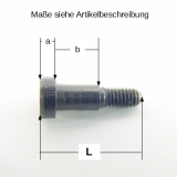 Märklin Zylinderkopfschraube m Ansatz M2,5 x 4,5 mm