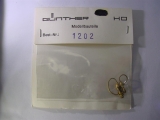 Günther 1202 doppelte Speisewasserpumpe Bauart Knorr