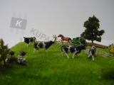 Diorama "Auf der Weide"