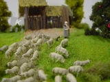 Diorama "Schafe auf der Weide"